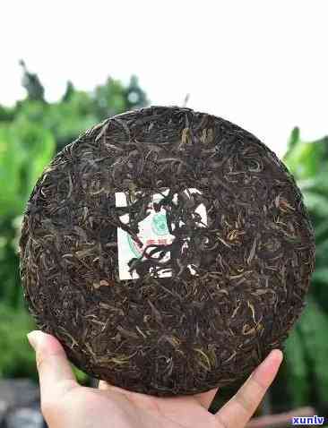 象明老班章古树茶2006:年份特性与价格解析，来自2006年象明茶厂的精选生茶
