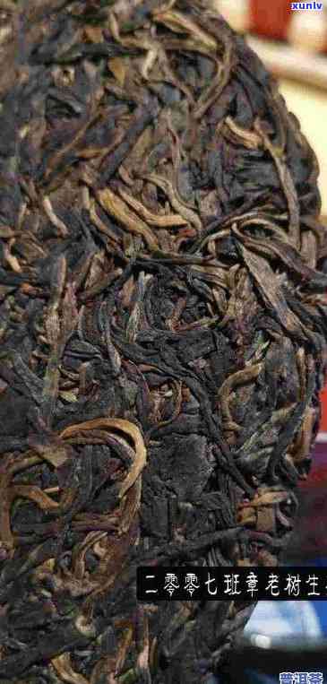 象明茶厂精选古树普洱生茶，阿里山原生态口感，老班章的独特韵味