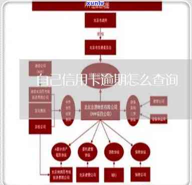 逾期怎么查询信用卡卡号