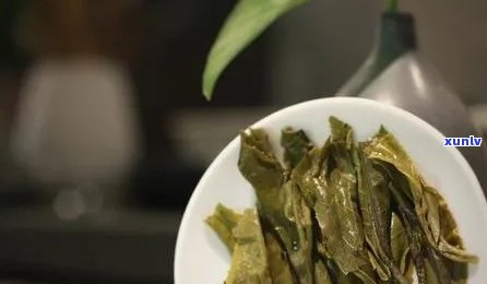 普洱茶头的全面功效解析：如何充分利用这一珍贵茶叶成分？