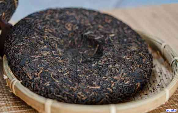 普洱紧压茶的传统形态及其种类和特征