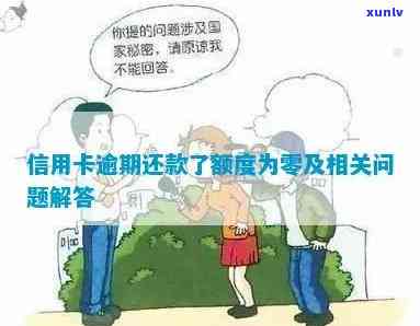 信用卡逾期后额度降低的合理范围：如何判断及处理？