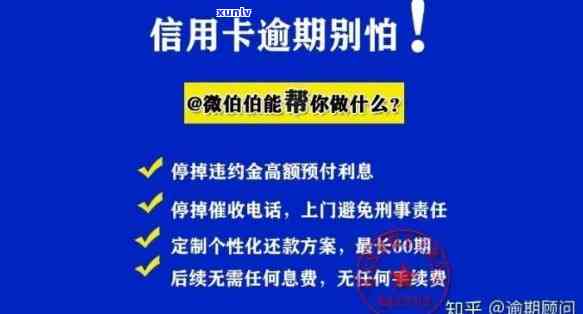 应对逾期信用卡债务：全面指南与有效策略