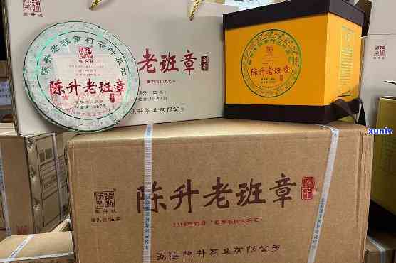 持久热力，普洱茶的理想保伴侣 - 专为品茗而设计的泡茶保杯