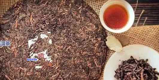老班章茶的烹饪应用：煮饮是否可行？普洱茶文化深度解析