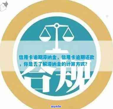 全面了解信用卡逾期金额计算 *** ：、利息、滞纳金等费用详细解析