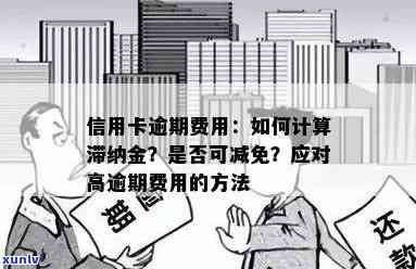 全面了解信用卡逾期金额计算 *** ：、利息、滞纳金等费用详细解析