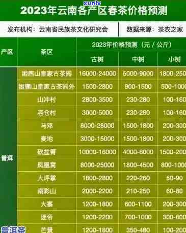 老班章春茶价格全览：2024-XXXX年春茶报价一览表