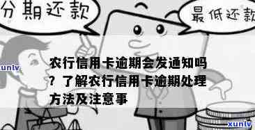 新农行信用卡超过90天逾期，有效补救措及处理建议