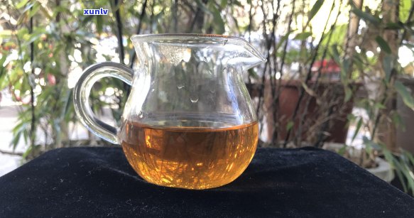 老班章古树普洱茶：年度产量及其对当地经济的贡献