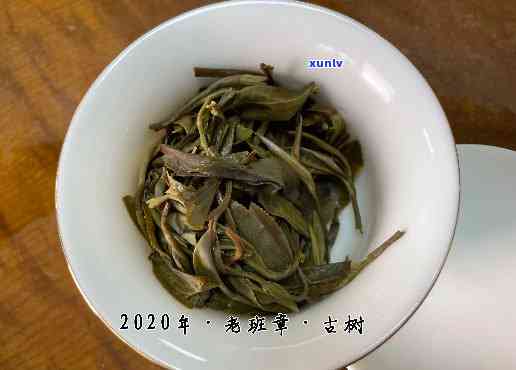 江普洱茶加盟详细条件与要求，全面解答您的疑虑和需求