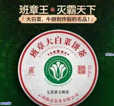 班章老茶大白菜的独特风味与价值