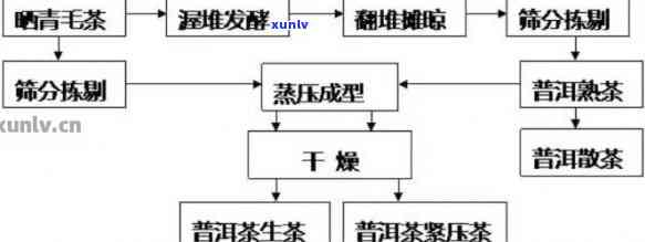 普洱知春茶的全面解读：品种、产地、 *** 工艺、口感及健益处