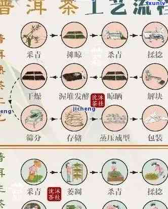 普洱知春茶的全面解读：品种、产地、 *** 工艺、口感及健益处