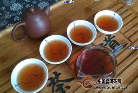 普洱茶为什么喝起来没有茶味？