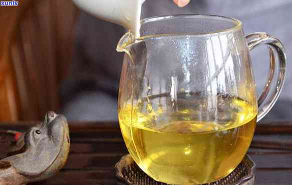 老班章茶的不同生产厂家对比：哪一家的产品最值得信？