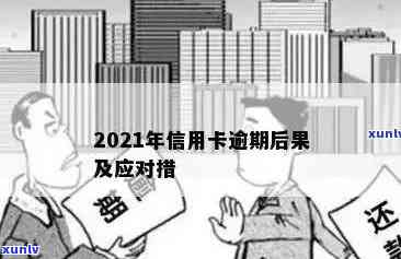 云南普洱茶饼市场价分析：批发与零售价格差异，货源可靠性探讨