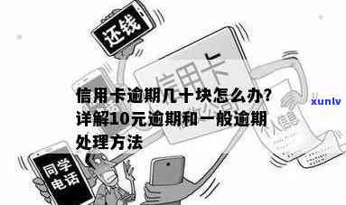 信用卡逾期10元：原因、后果及解决方案全面解析