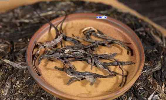老班章普洱茶产区的越之作：品鉴这款茶叶的魅力与特色