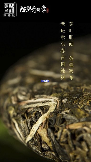 陈升老班章：纯料普洱茶的精工艺与独特风味探秘