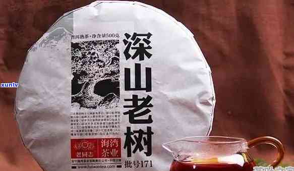 巴山老茶：古树普洱的班章味道，阿里京东都无法比拟