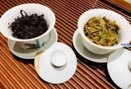 生茶与熟茶的对比：老班章茶叶的选择及其原因解析