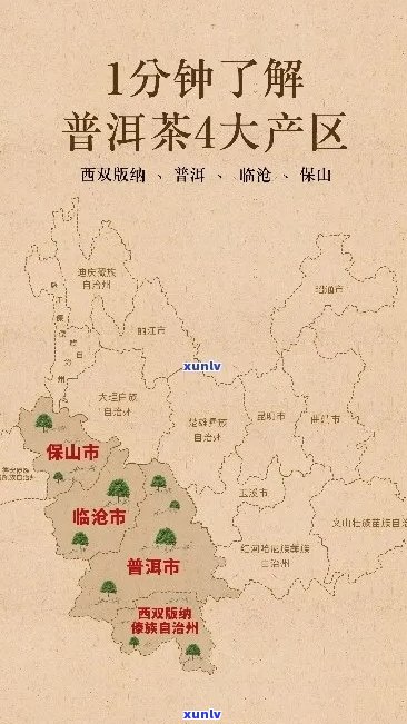 云南普洱茶产地及其优势分析：哪个省份的茶叶最为出众？