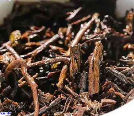 普洱茶的产地及其种类：全面解析普洱茶的来源与特点