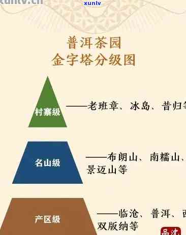 普洱茶的产地及其种类：全面解析普洱茶的来源与特点