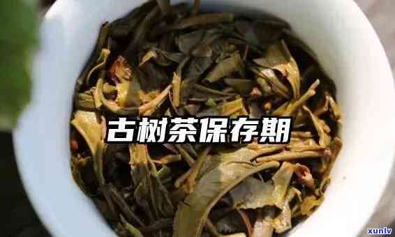 普洱古树芽孢茶的保存时间及其功效，如何判断其可饮用年限？
