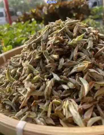 古树芽孢茶价格区间是多少？每斤古树芽孢茶大概需要多少钱？