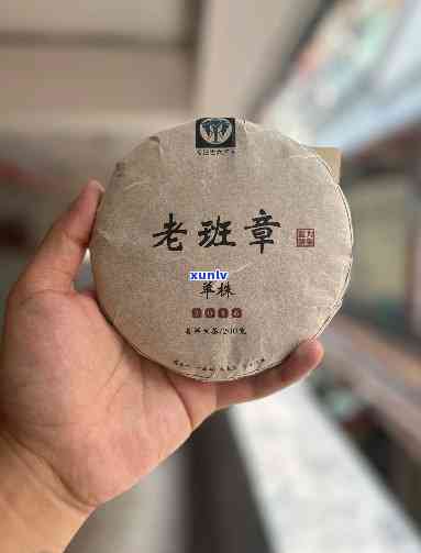 全面解析：七彩普洱熟茶的品饮 *** 、功效与适用场景，助您轻松选购与品鉴