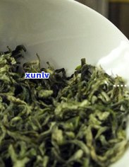 探究勐海七子饼茶：老班章普洱茶饼的独特魅力与品质