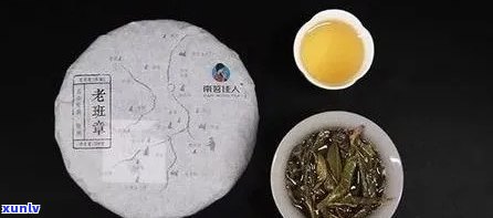 开茶和老班章区别：它们的区别是什么？它们的距离有多远？