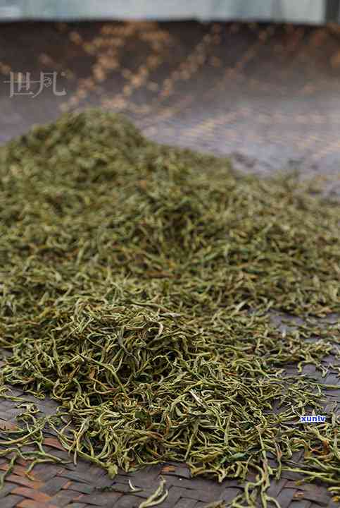 老班章古树秋茶：普洱茶中的珍品口感解析