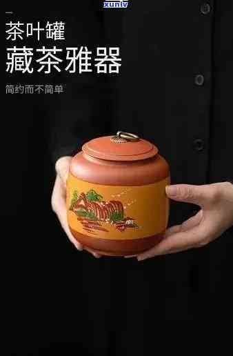 如何根据茶罐材质和形状挑选适合的普洱醒茶罐