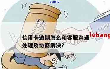 信用卡逾期问题解决全攻略：哪个部门协商更高效？找谁咨询最靠谱？