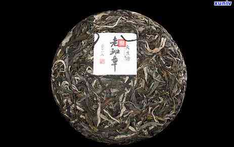揭秘普洱茶产区：老班章茶区的特色与魅力