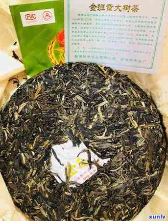 揭秘普洱茶产区：老班章茶区的特色与魅力