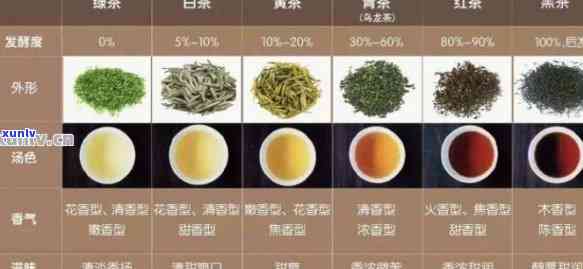 红茶、绿茶、普洱茶：全面比较与区别，助您轻松选择适合的茶类
