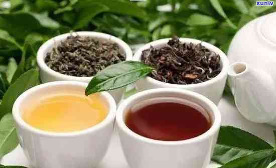 探索茶叶世界：红茶、绿茶与普洱的味觉之旅