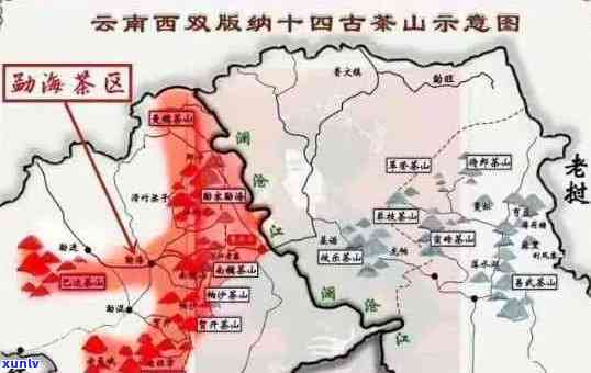 云南普洱茶古树茶最新价格及优质货源采购指南