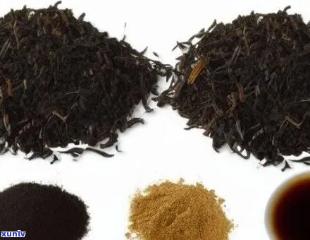 对比碎银子与滇红茶：口感、品质和选择的深度探讨