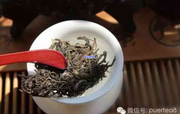 寻找优质普洱茶：挑选与品鉴的秘诀