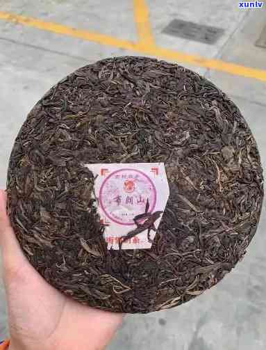 阳普洱茶场2007年云南族特有茶厂新茶叶直销