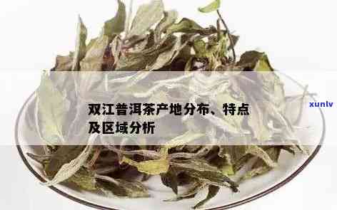 双江县普洱茶的分布和特点排名