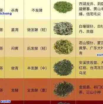 新江南地区茶叶价格一览表，了解各类茶叶的价格和特点