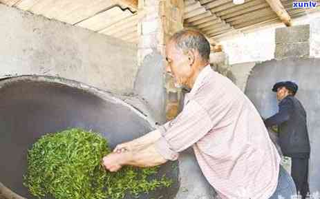 普洱茶老树茶价格表大全