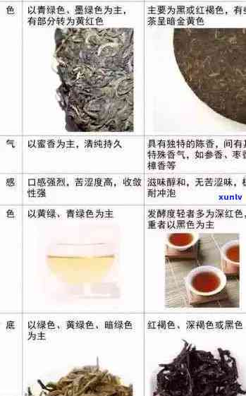 普洱茶品质分类与价格解析：从生茶到熟茶全方位指南