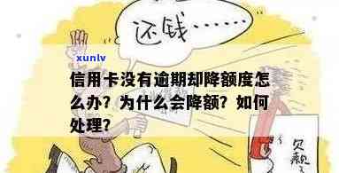 信用卡额度没有逾期，为什么还是被降低了？如何解决这个问题？